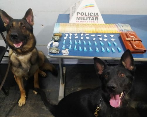 cães da PM