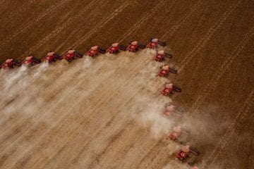 Caixa amplia para R$ 12 bilhões a oferta de crédito agrícola