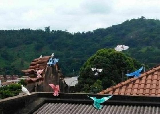 pintor-de-pombos-e-procurado-pela-policia-no-interior-de-minas