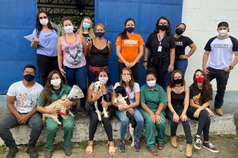 GRAD, Ampari e estudantes da Una resgatam e castram animais em Santa Maria