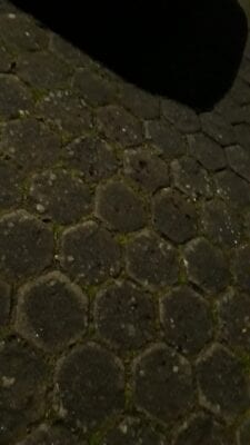 Juca Rosa