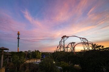 10 curiosidades sobre o Busch Gardens, na Flórida