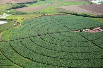 IBGE prevê safra recorde de 264,9 milhões de toneladas para 2021