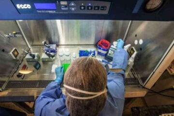 Covid-19: há um ano, Itabira anunciava primeiro caso; hoje são mais de 12 mil