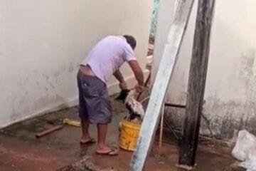 Após ser filmado afogando e batendo em cachorro, homem é preso