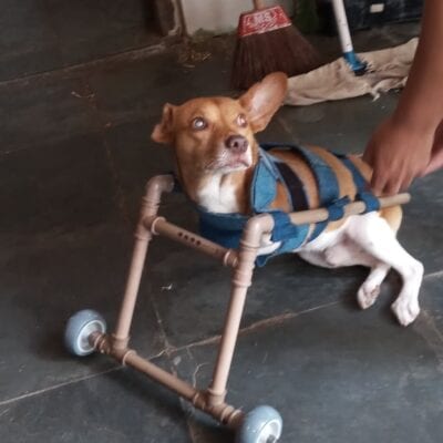 projeto aislan