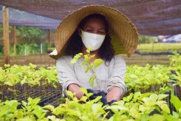 Sine Itabira oferece vaga para trabalhar com jardinagem