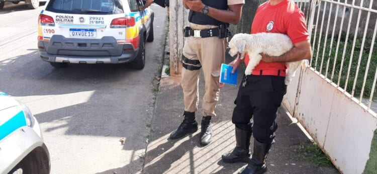 homem-e-preso-pela-pm-por-furtar-cachorro-no-centro-de-itabira