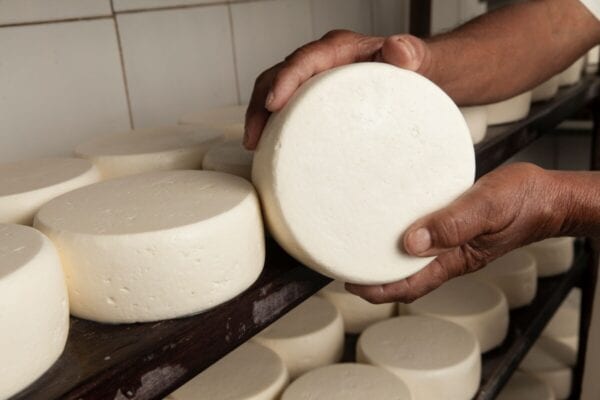 queijeiros anglo queijo