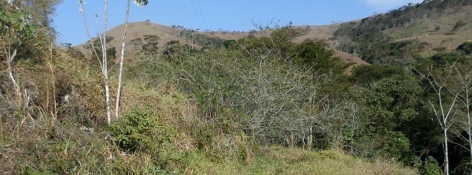 Estado lança edital de contratação de obra de descontaminação de solo na Zona da Mata