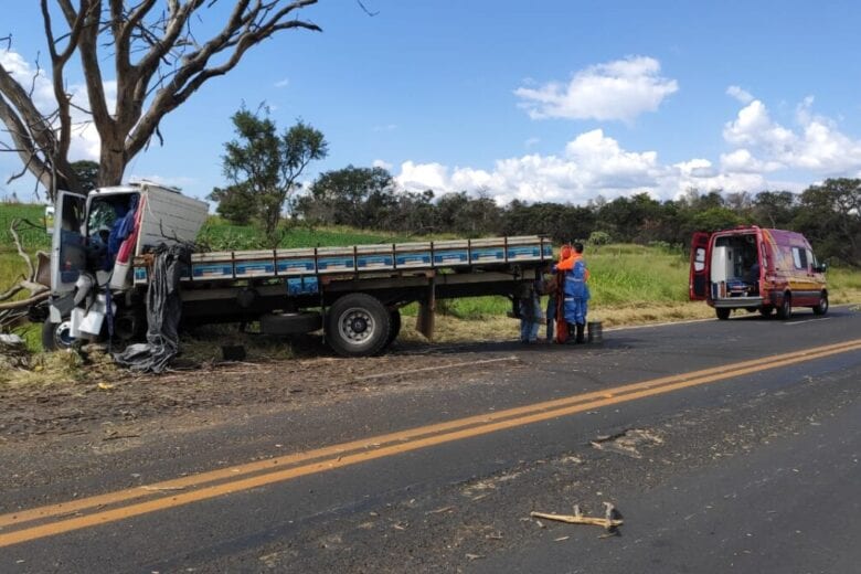 Caminhão fica destruído ao colidir contra uma árvore na BR-365