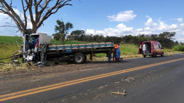 Caminhão fica destruído ao colidir contra uma árvore na BR-365