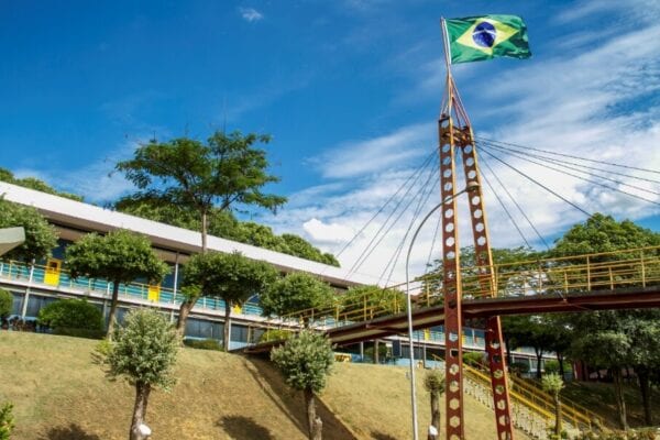 veterinária vaga
