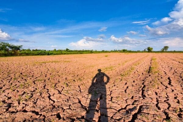 Governo alerta para pior seca em 111 anos em 5 estados; Minas está na lista