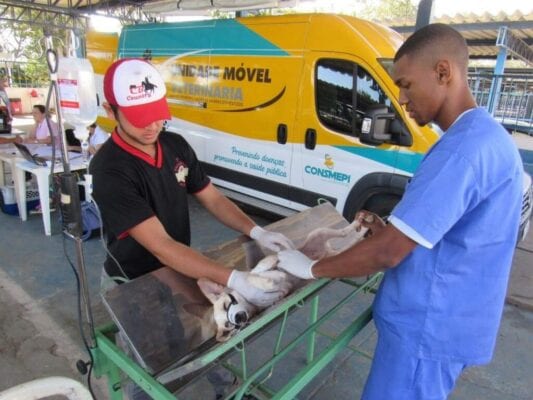 Neidson Freitas denuncia problemas em castração de animais em Itabira