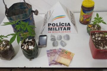 Jovem é preso cultivando maconha em Catas Altas