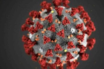Espírito Santo: três pessoas têm suspeita de infecção pela variante indiana