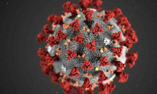 Espírito Santo: três pessoas têm suspeita de infecção pela variante indiana