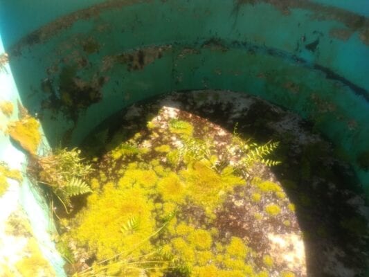 Prefeitura faz limpeza em caixas d´água de unidades de saúde e escolas de Monlevade