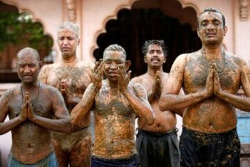 Indianos hinduístas usam esterco de vaca contra a Covid-19