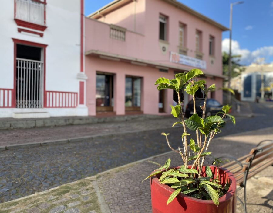 casa cesar