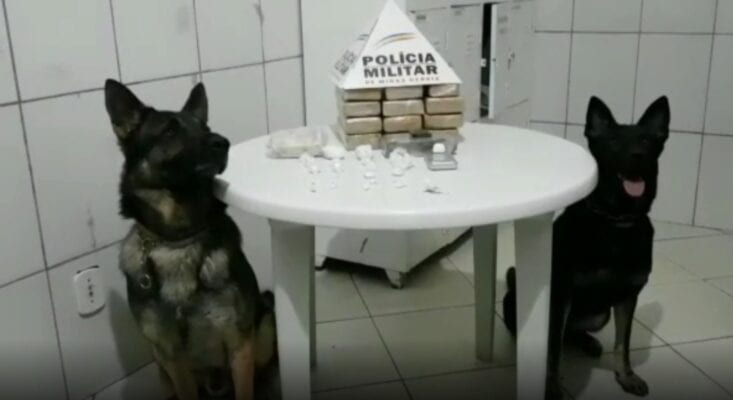 Homem tenta se esconder embaixo d'água, mas é encontrado e acaba preso