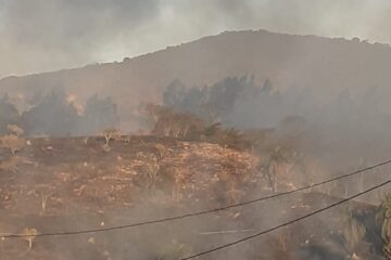 Candidópolis em chamas: incêndio em vegetação ameaça casas; veja os vídeos