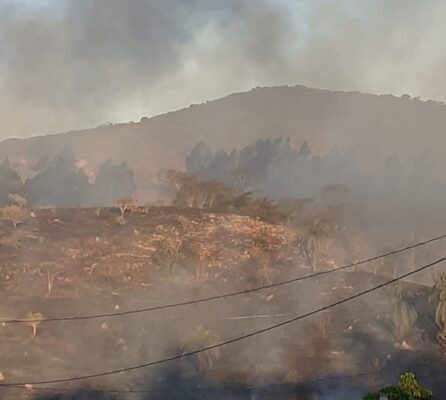 Candidópolis em chamas: incêndio em vegetação ameaça casa; veja os vídeos