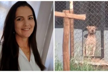 Mulher morre atacada por seis pitbulls ao visitar namorado