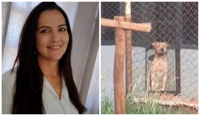 Mulher morre atacada por seis pitbulls ao visitar namorado