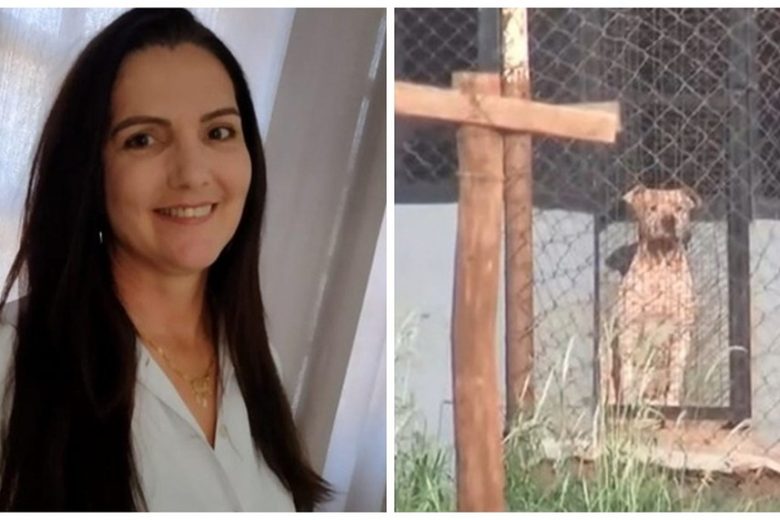 Mulher morre atacada por seis pitbulls ao visitar namorado