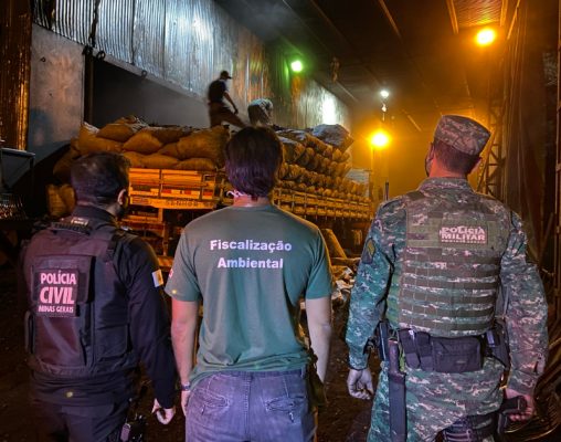 comércio ilegal de carvão