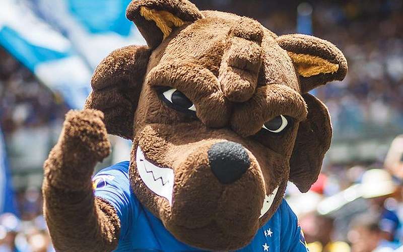 Cruzeiro divulga detalhes da venda de ingressos para jogo contra Confiança