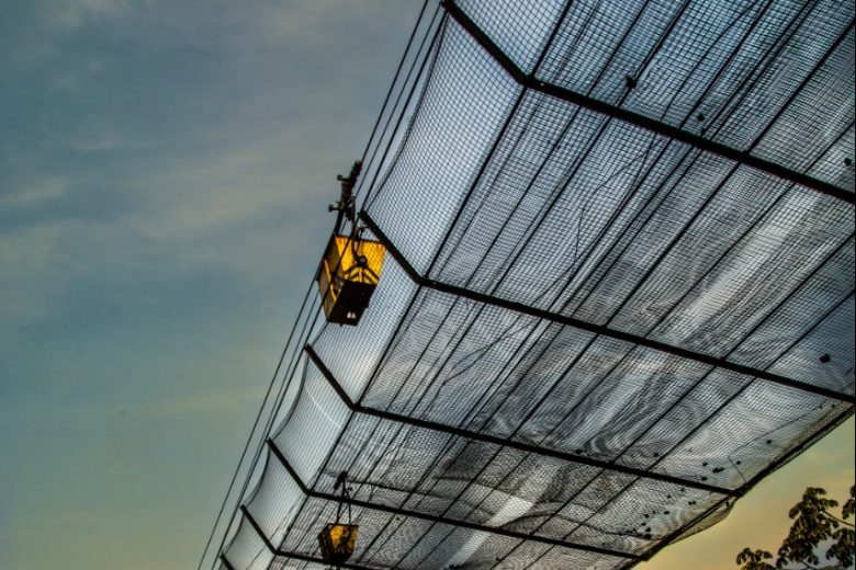 Exposição fotográfica “Jornada da Memória” será realizada em Monlevade