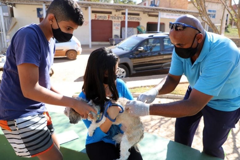 Conceição do Mato Dentro vacina 1.080 animais contra raiva