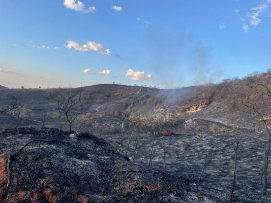 incendio-destroi-area-de-fazenda-da-uniao-em-itabira