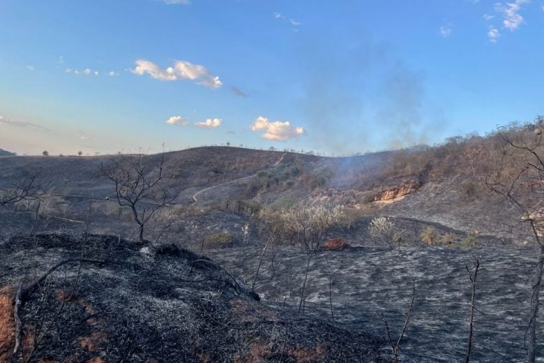 Incêndio destrói área de fazenda da União em Itabira