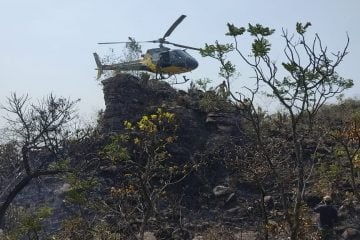 Minas registra mais de 700 focos de incêndio durante feriadão da Independência