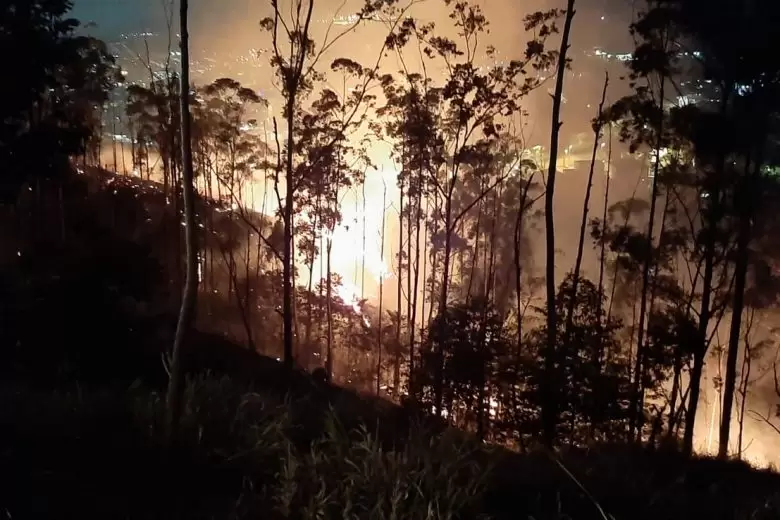 Incêndio de grande proporção devasta vegetação do Pico do Amor, em Itabira