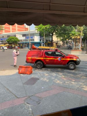 Abelhas assustam pessoas que passavam pelo centro