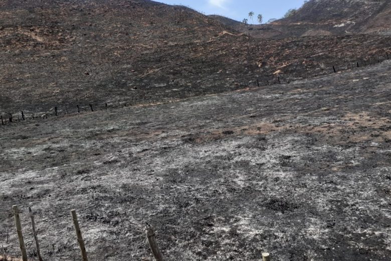 Produtor rural e funcionário são multados em mais de R$273 mil por incêndio florestal em Ferros