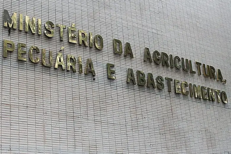 Casos de mal da vaca louca não são risco à produção bovina, diz OIE