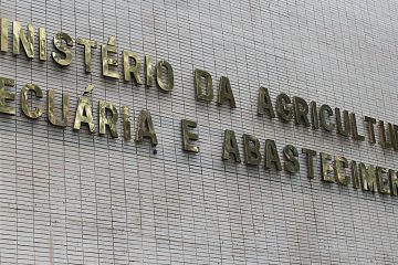 Casos de mal da vaca louca não são risco à produção bovina, diz OIE