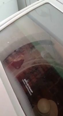 Furões em máquina de lavar em Betim