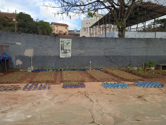 Presídio de Monlevade implanta horta beneficente; confira