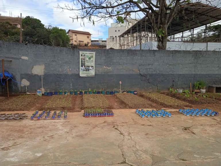 Presídio de Monlevade implanta horta beneficente; confira