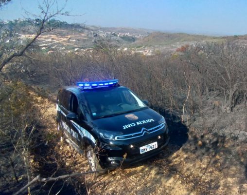 incêndio criminoso