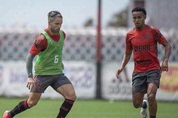 Flamengo: Diego pode voltar no domingo e David Luiz já treina em campo