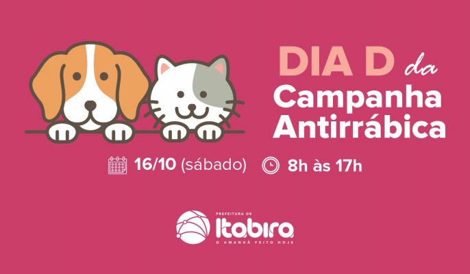 vacinação antirrábica