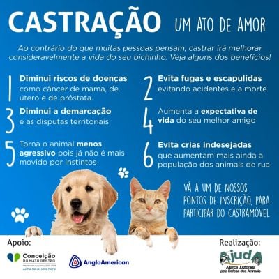 Prefeitura de Conceição do Mato Dentro abre inscrições para castração de animais